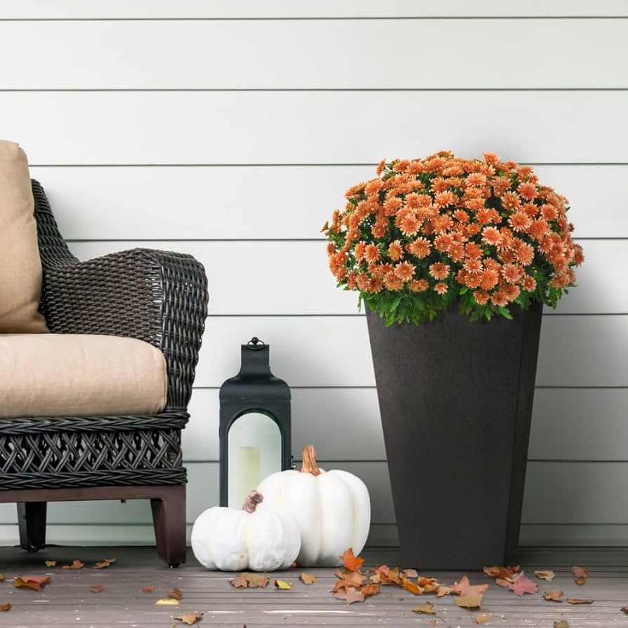 How to Build a Holiday Arrangement with the Sonata Planter