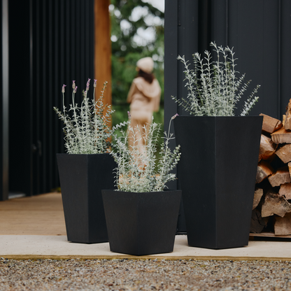 Three black planters with plants on a wooden deck next to stacked firewood.