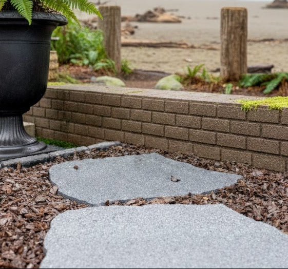 Potted fern on a stone path with a scenic beach and rock formation in the background